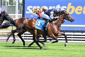 O'BRIEN PRODUCES ANOTHER SMART 3YO